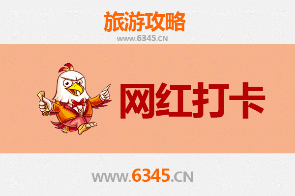 盐城大丰网红打卡地全攻略：邂逅麋鹿、花海与异域风情