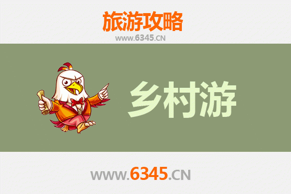 盐城大丰乡村漫游：生态野趣与人文风情深度体验